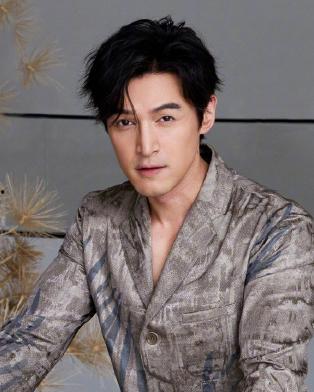 女演员爆料胡歌视频是真的吗,胡歌视频爆料真实性探讨  第1张